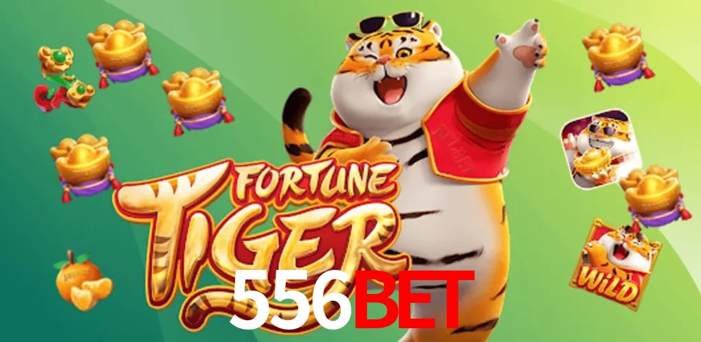Experiência VIP 556bet